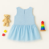 Frost Petal Sleeveless Frock