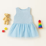Frost Petal Sleeveless Frock