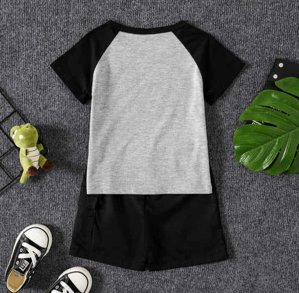 Super Dino Graphic Set Grey