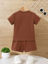 Little Lion Graphic Set