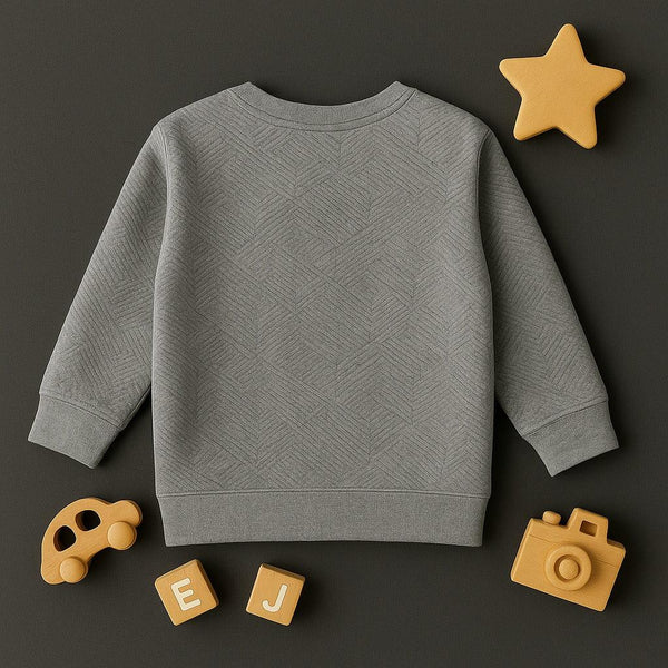 Textured Sweat Shirt (Light Grey)