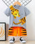Mini Tiger Graphic Set