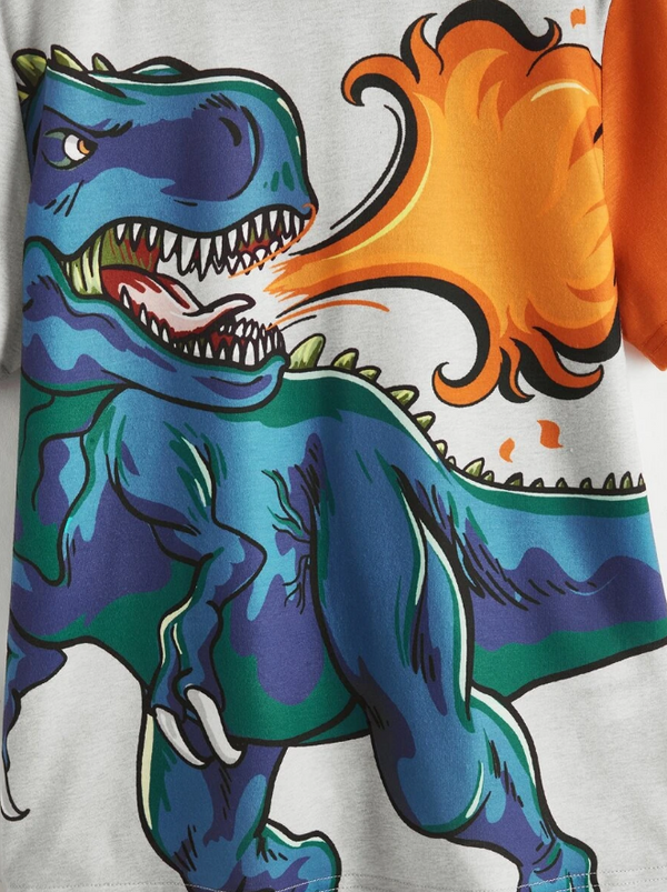 T Rex Fire Graphic Tee