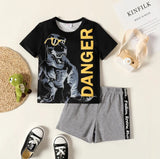 Danger T Rex Graphic Set