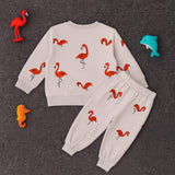 Flamingo Fun Tracksuit