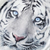 White Tiger Graphic Set