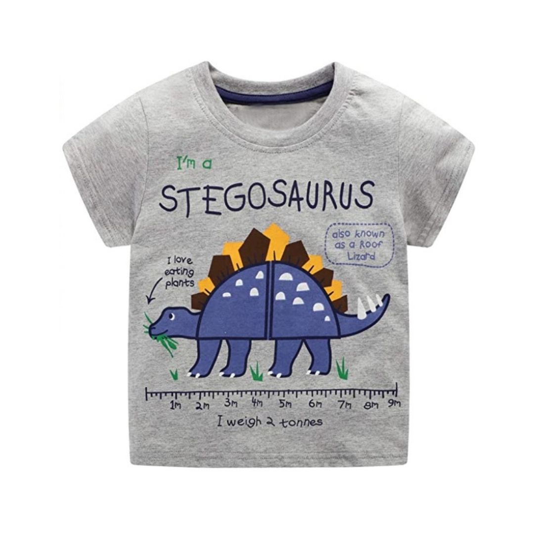 Stegosaurus Dino Graphic Tee Grey