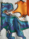T Rex Fire Graphic Tee